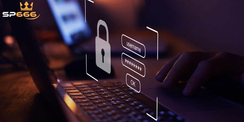 Chính Sách Bảo Mật SP666 Về Quyền Lợi Của Người Dùng