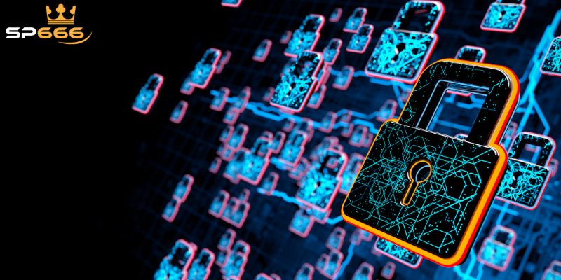 Chính Sách Bảo Mật SP666 Về Thu Thập Thông Tin