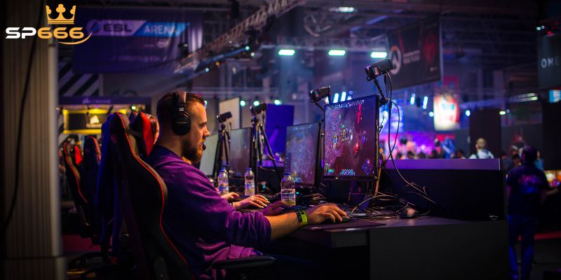Chiến thuật cược Esport SP666 dễ thắng