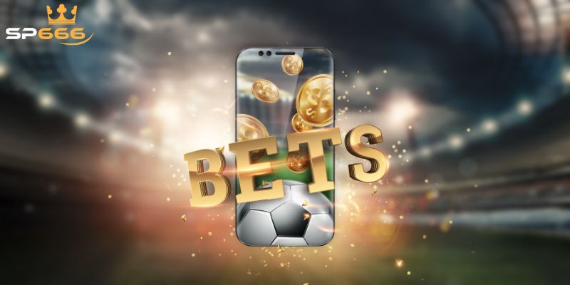 Câu hỏi thường gặp tải app SP666