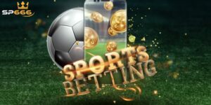 Các Hình Thức Cá Cược Thể Thao SP666