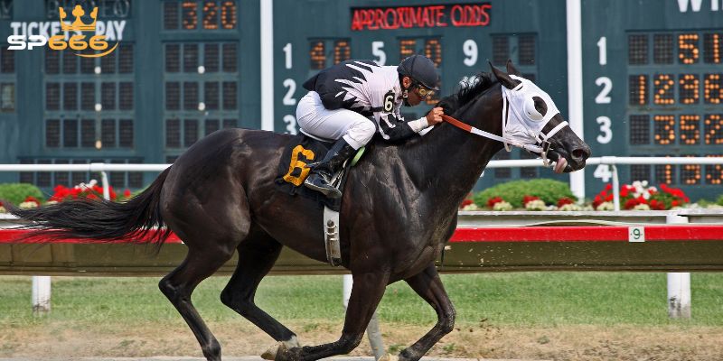 Cách Tham Gia Cá Cược Thể Thao SP666 Đơn Giản Nhất