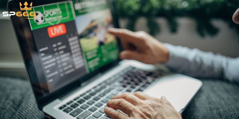 Thể Thao SP666 Là Gì Và Có Gì Nổi Bật